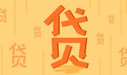 详细借款条款与规范说明