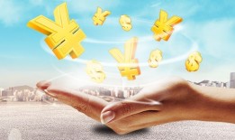 全面解读借款短信内容与操作指南